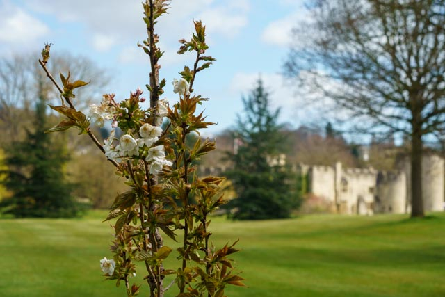 Allington Castle March 2021 (1)