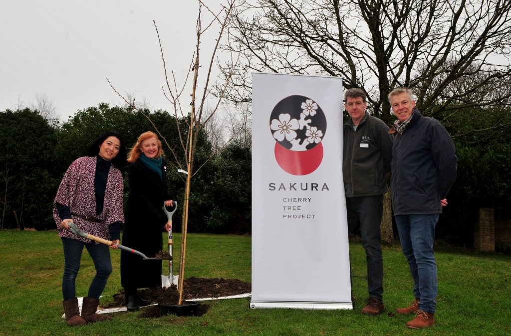 Jan 2020 (3) RHS Garden Harlow Carr Jan 2020 (3)