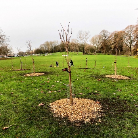 Bass' Recreation Ground Nov 2020 (3)