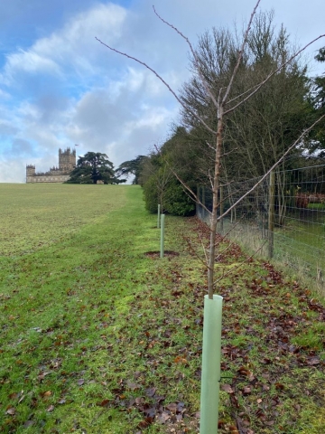 Highclere Castle Nov 2020 (1)
