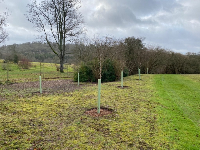 Highclere Castle Nov 2020 (2)