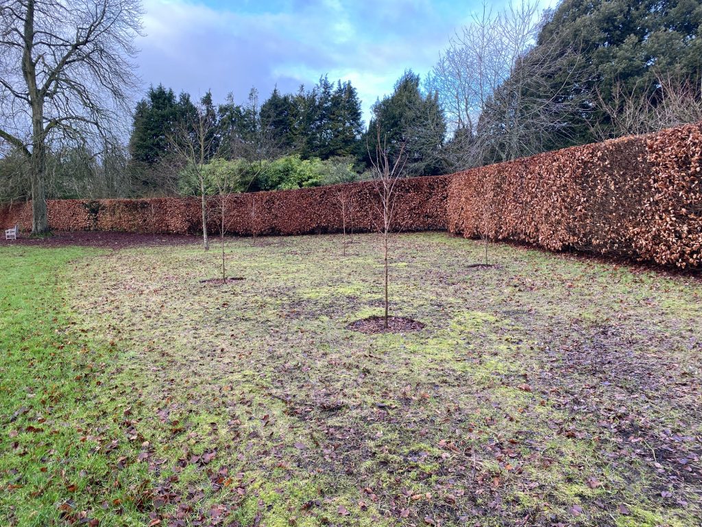 Highclere Castle Nov 2020 (3)