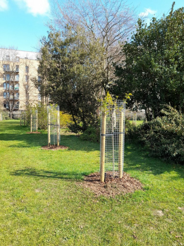Mayesbrook Park Jan 2021