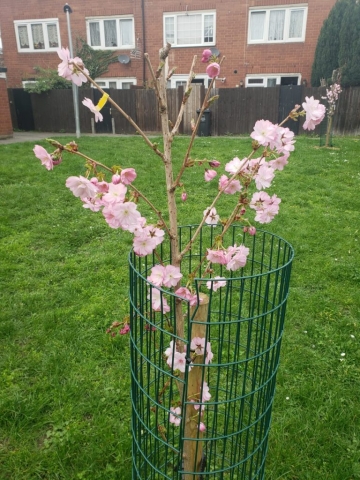 Apr 2021 (1)