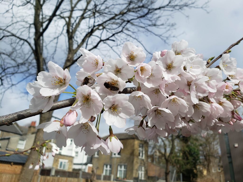Apr 2021 (1)