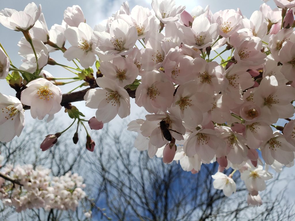 Apr 2021 (2)