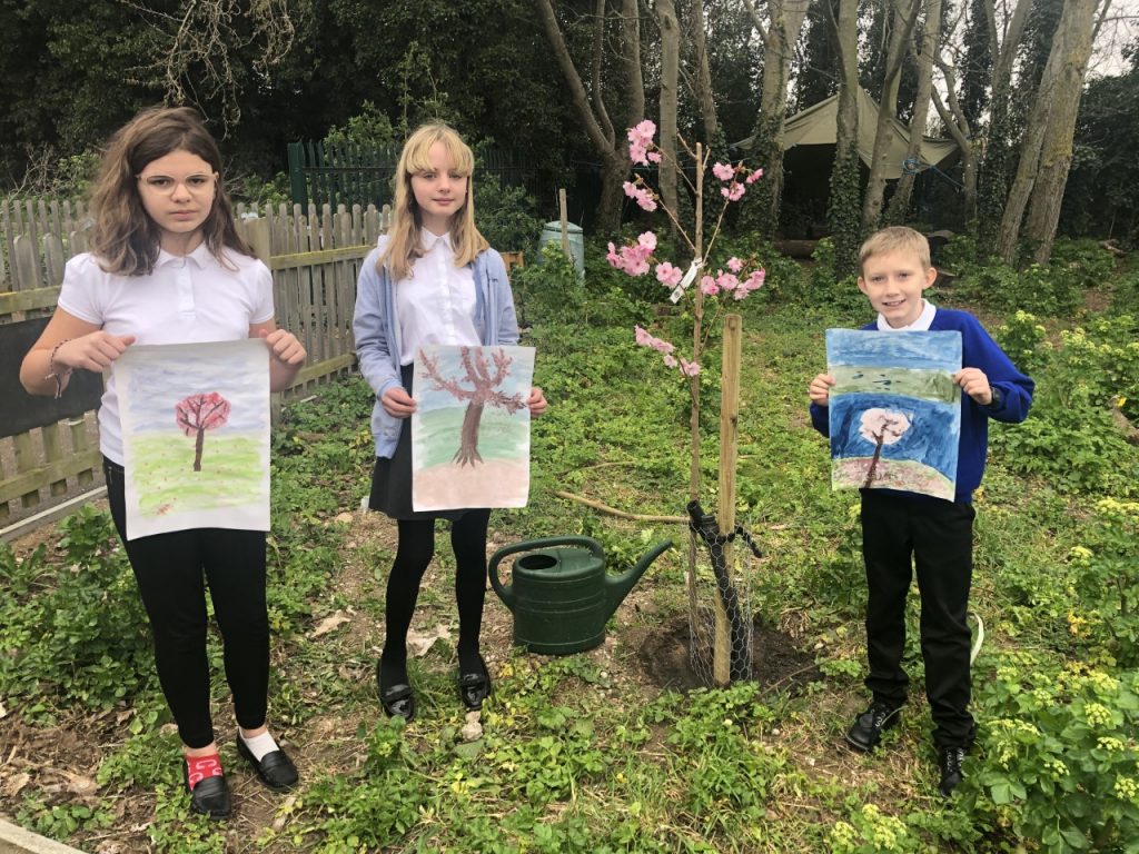 Cliftonville Primary School April 2021 (3)