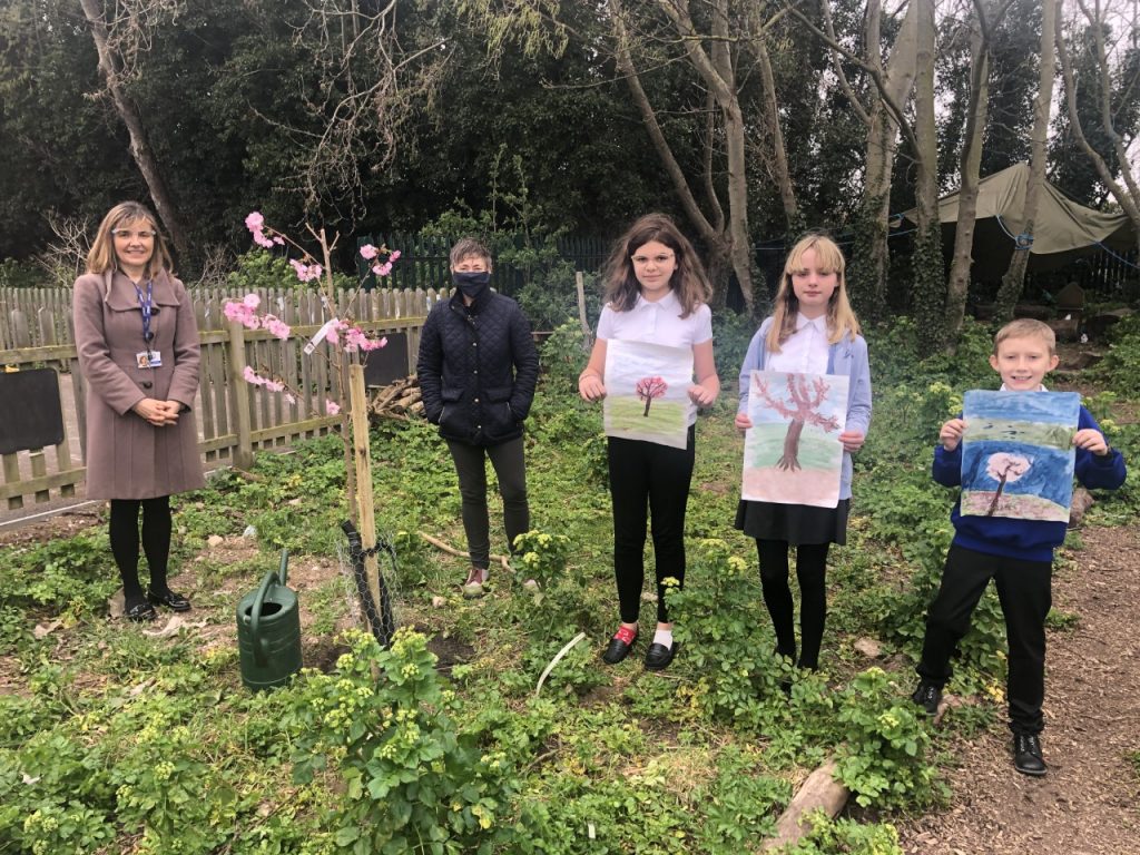 Cliftonville Primary School April 2021 (1)