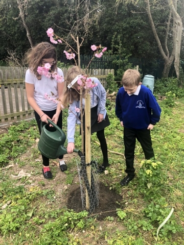 Cliftonville Primary School April 2021 (2)
