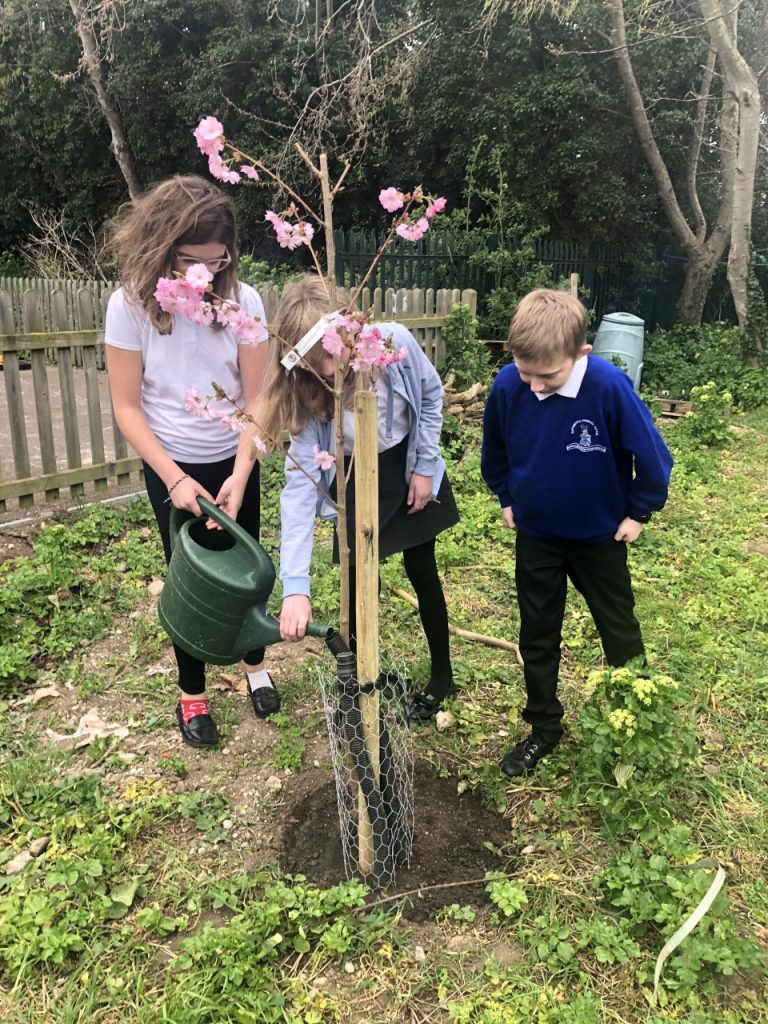 Cliftonville Primary School April 2021 (2)