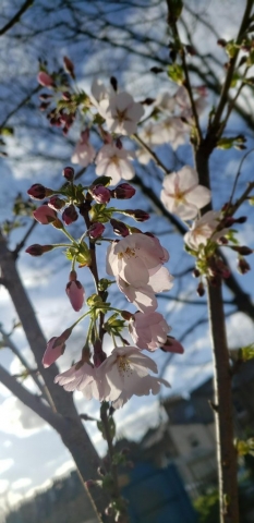 Feb 2020 (2)