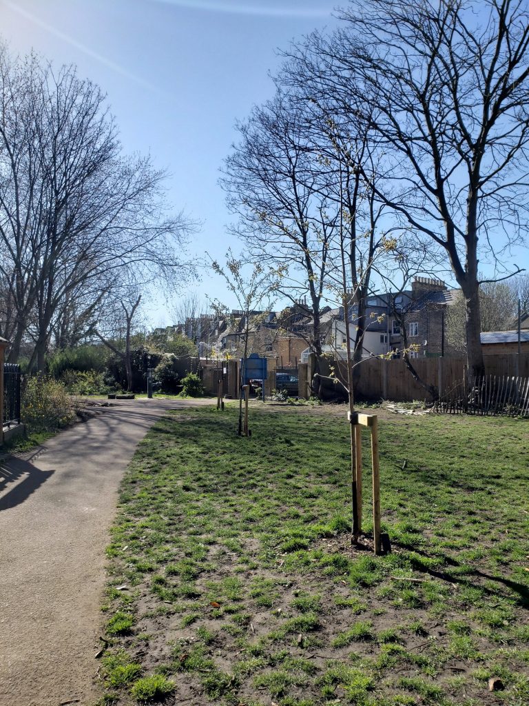 Feb 2020 (4)