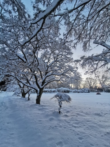 Feb 2021 (1)
