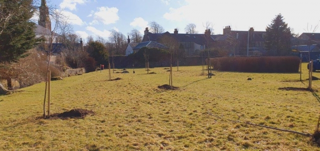 Strathaven Park Feb 2021 (3)