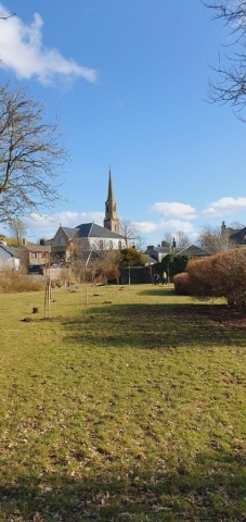 Strathaven Park Feb 2021 (4)