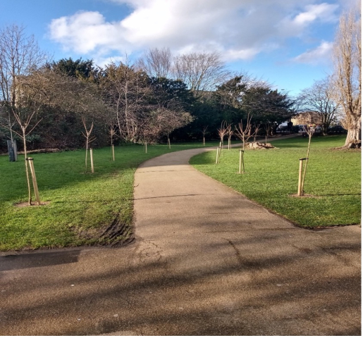 Henry Reynolds Gardens Jan 2021