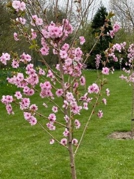 April 2021 (1)