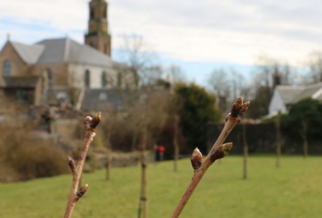 Strathaven Park April 2021 (3)