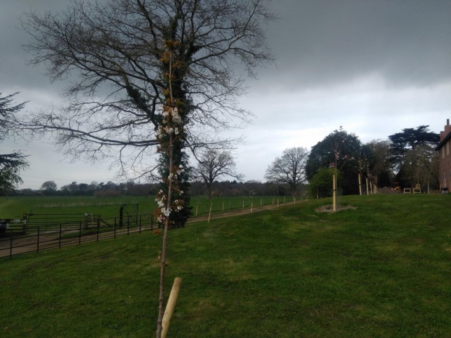Apr 2021 (1)