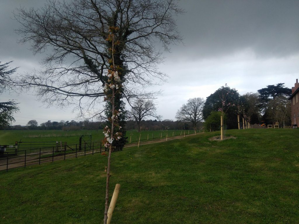 Apr 2021 (1)