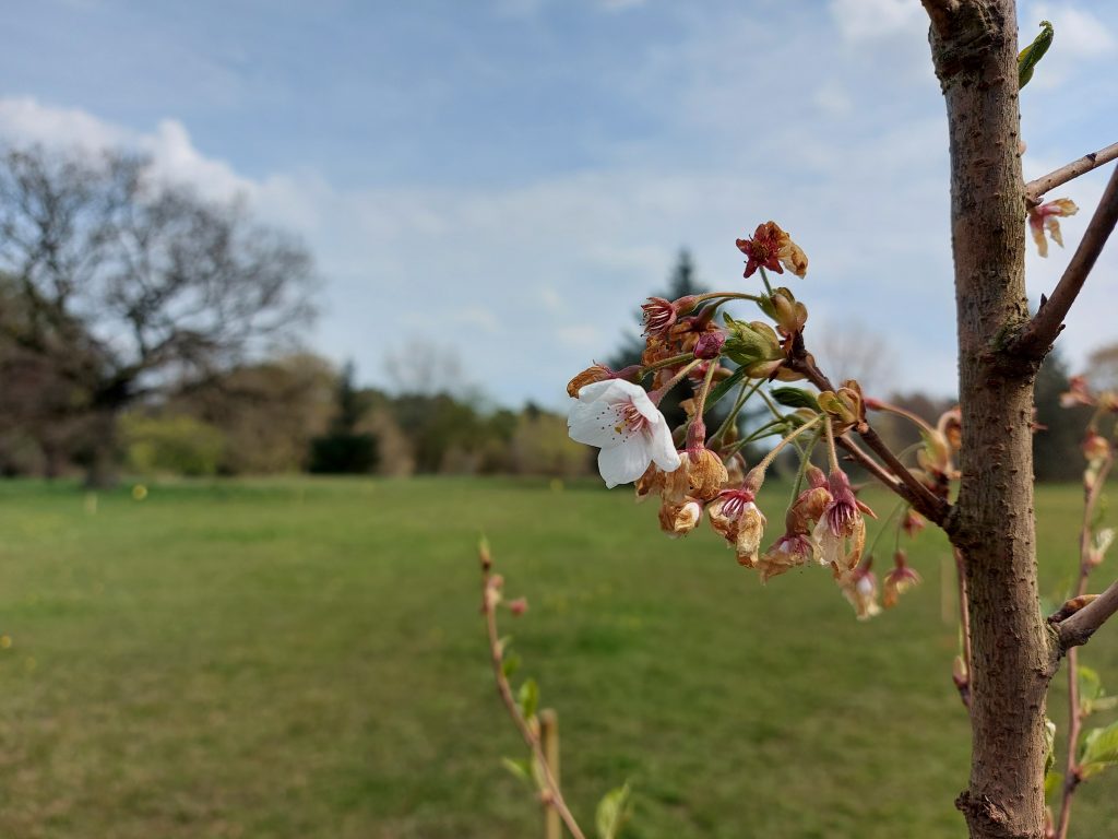 Mar 2021 (1)