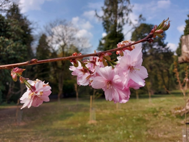 Mar 2021 (2)
