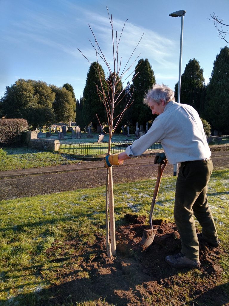 Felton Park Jan 2021 (1)
