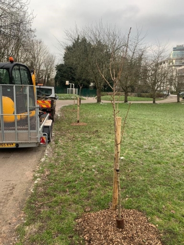 Carville Hall Park South Feb 2021
