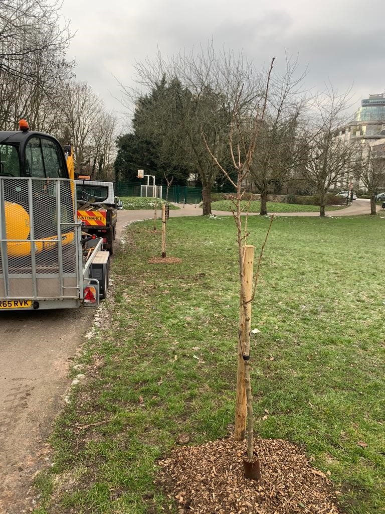 Carville Hall Park South Feb 2021
