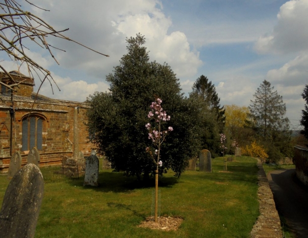 Spratton Village April 2021 (3)