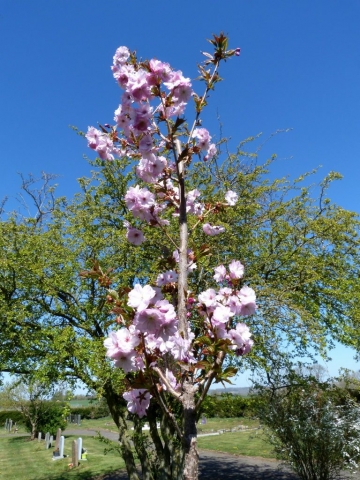 Spratton Village April 2021 (1)