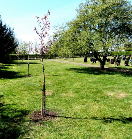 Spratton Village April 2021 (5)