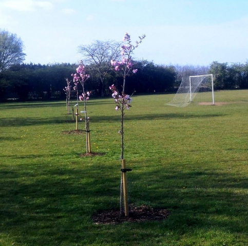 Spratton Village April 2021 (7)