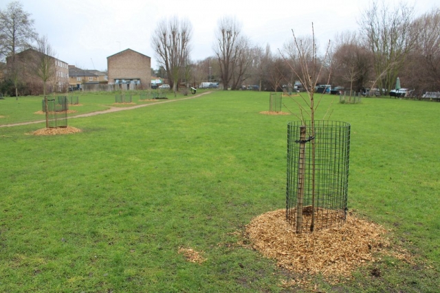 Daubeney Fields Dec 2020 (4)