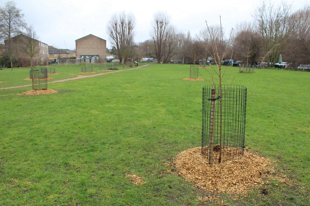 Daubeney Fields Dec 2020 (4)