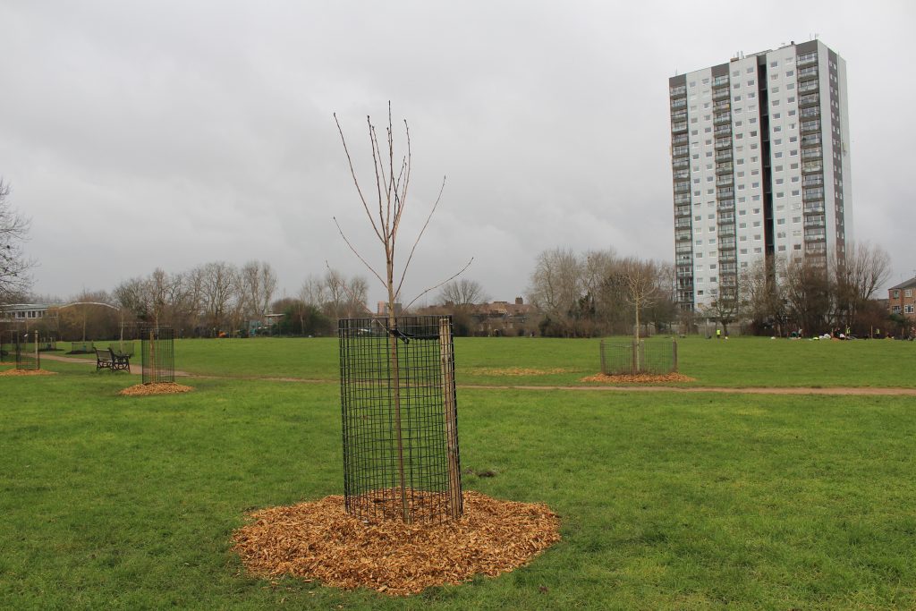 Daubeney Fields Dec 2020 (5)