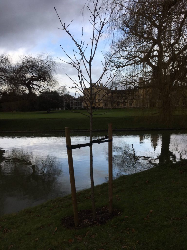 Trinity College Jan 2021 (1)