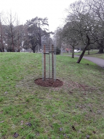 Homefield Park and Playground Jan 2021 (1)