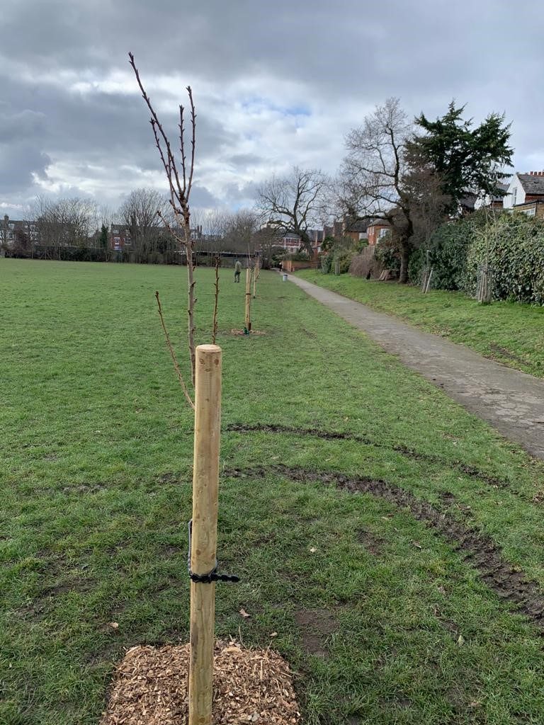 Homefield Recreation Ground Feb 2021 (1)