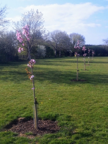 Spratton Village April 2021 (8)