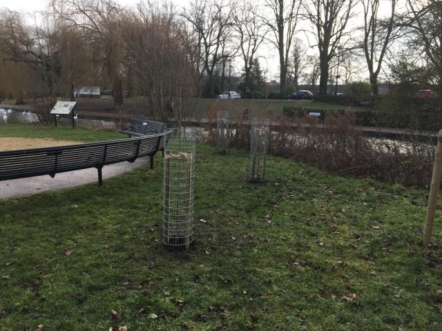 Alexandra Gardens Jan 2021 (5)
