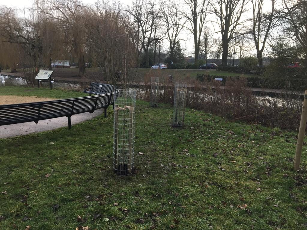 Alexandra Gardens Jan 2021 (5)