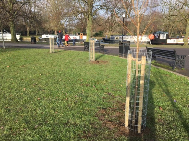 Alexandra Gardens Jan 2021 (4)
