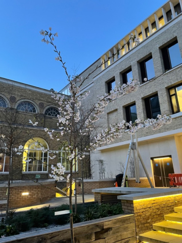 University College London April 2021
