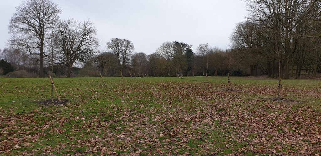 Shipley Country Park March 2021 (1)