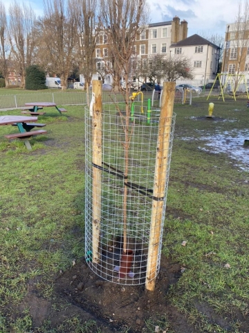 Stamford Brook Common Feb 2021