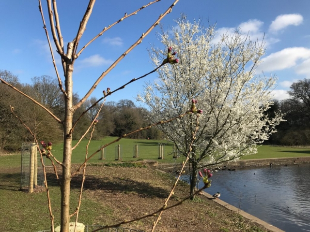 Black Fan Valley March 2021