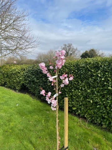 Apr 2021 (2)