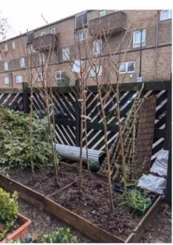 Seeds for Growth Jan 2021 (1)
