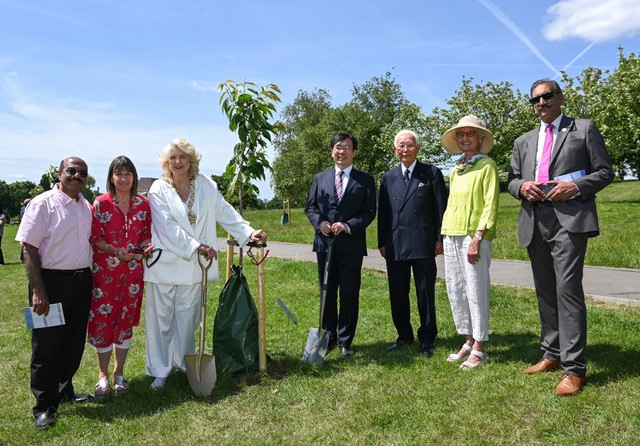 Gladstone Park planting group